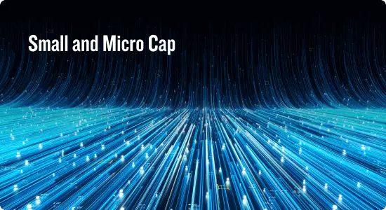 small-cap